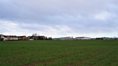 Ursprünglich sollten auf dem Areal nördlich der Schweinsdorfer Straße vor allem Grundstücke für Einfamilienhäuser ausgewiesen werden. Doch die Nachfrage ist spürbar zurückgegangen. Daher müssen die Pläne überdacht werden. (Foto: Simone Hedler)