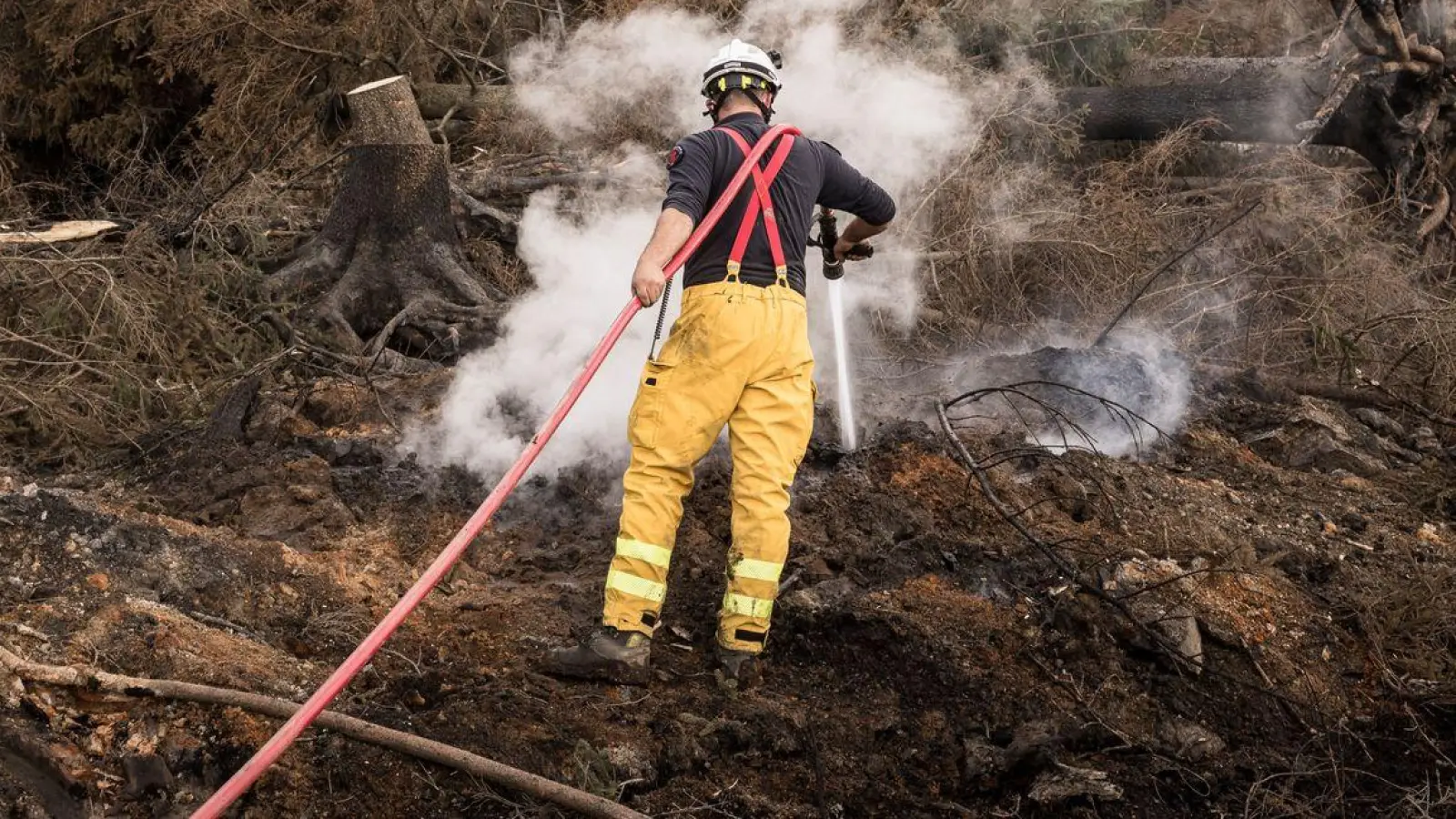 Gelöscht ist der verheerende Brand im Hohen Venn noch nicht. (Archivbild)  (Foto: Valentin Bianchi/AP/dpa)