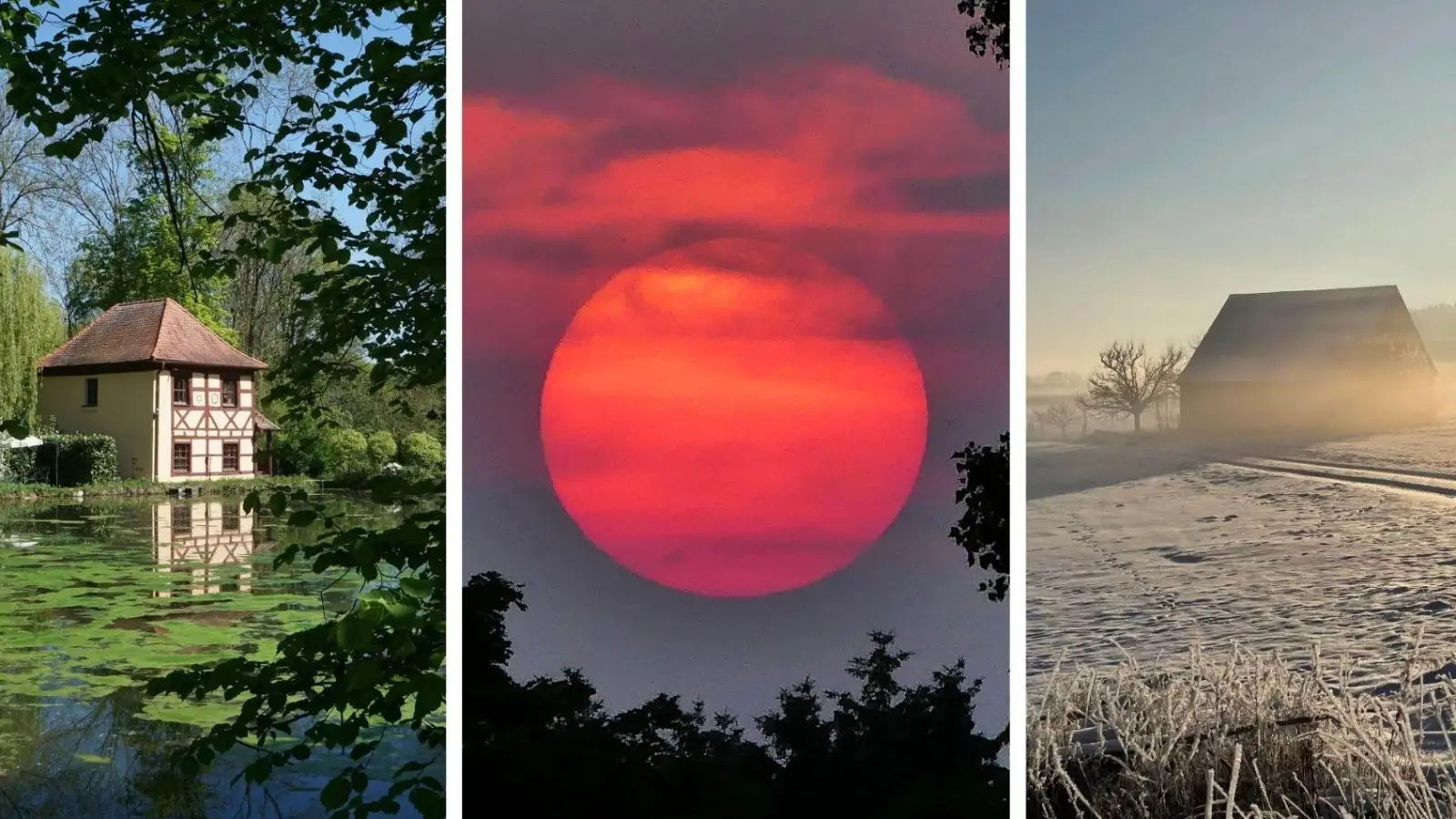 Die Abstimmung, welche Fotos in den FLZ-Blattkalender 2026 kommen, ist abgeschlossen. Klicken Sie sich hier durch unsere Bildergalerie. (Foto: Ralf Hanisch, Erich Kraus, Christine Strasser)