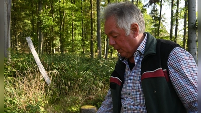 Reinhard Pimmer im Wald bei Sugenheim. (Foto: Judith Marschall)