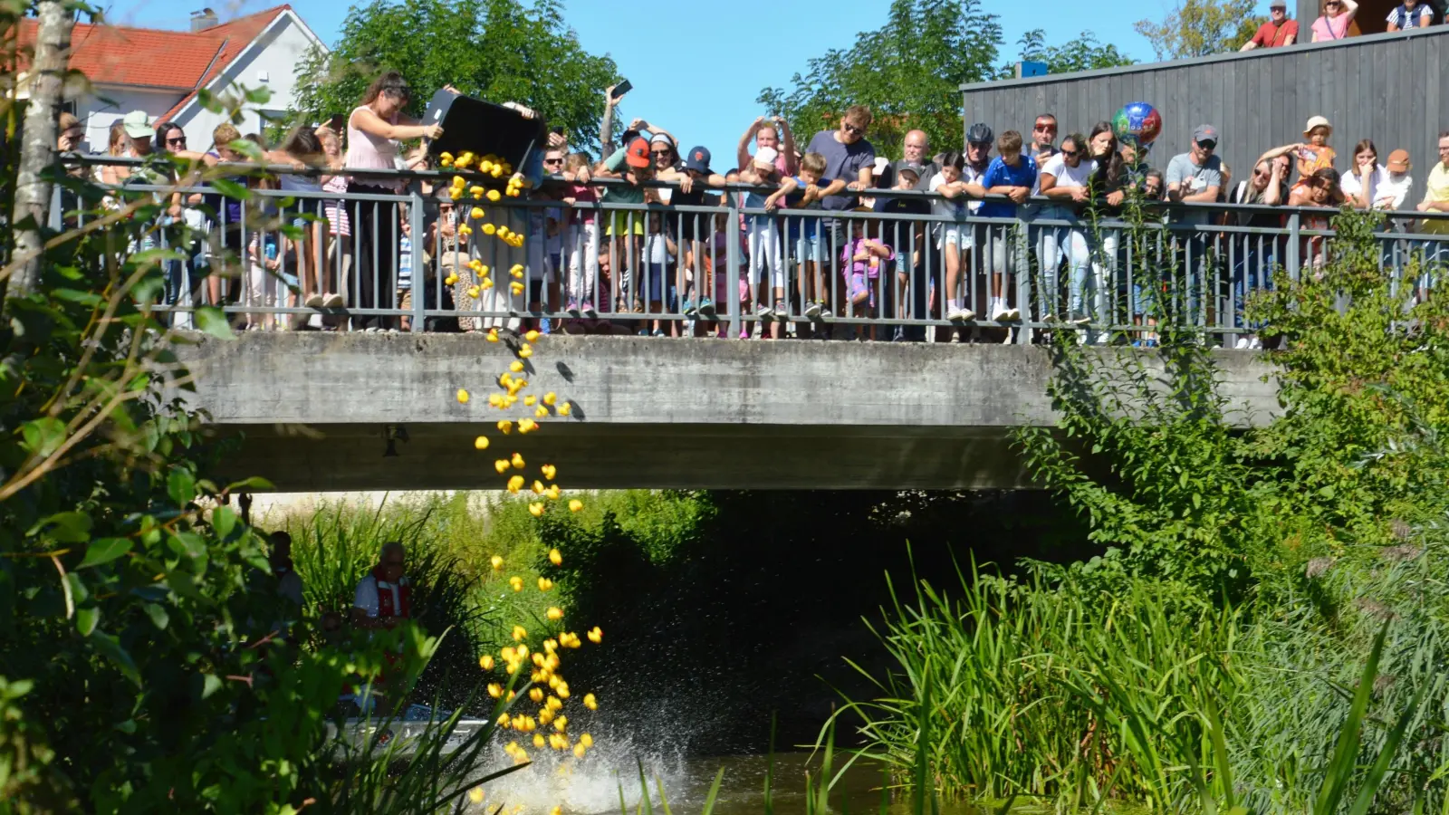 Der Start des Entenrennens: Hier wurden die quietschgelben Tiere an der Heubrücke zu Wasser gelassen.  (Foto: Peter Tippl)