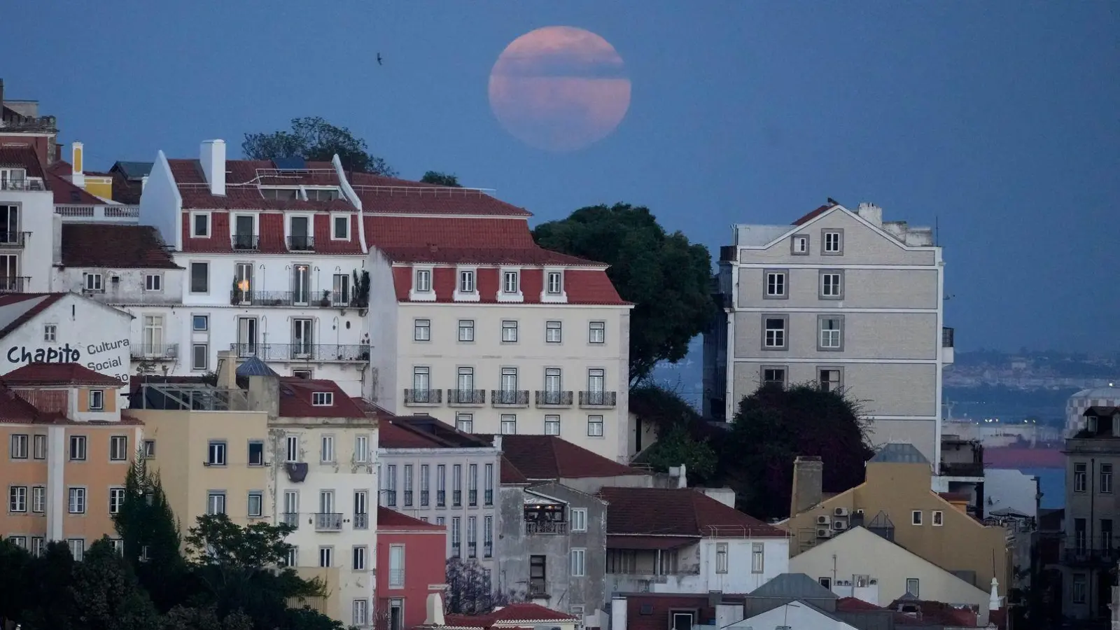 Die Erdstöße waren allem in der Hauptstadt Lissabon deutlich zu spüren. (Archivbild) (Foto: Armando Franca/AP/dpa)