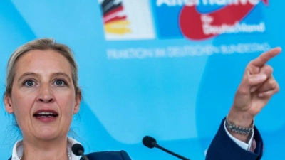 Die AfD fühlt sich durch das Verhalten der anderen Fraktionen benachteiligt. (Archivbild) (Foto: Michael Kappeler/dpa)
