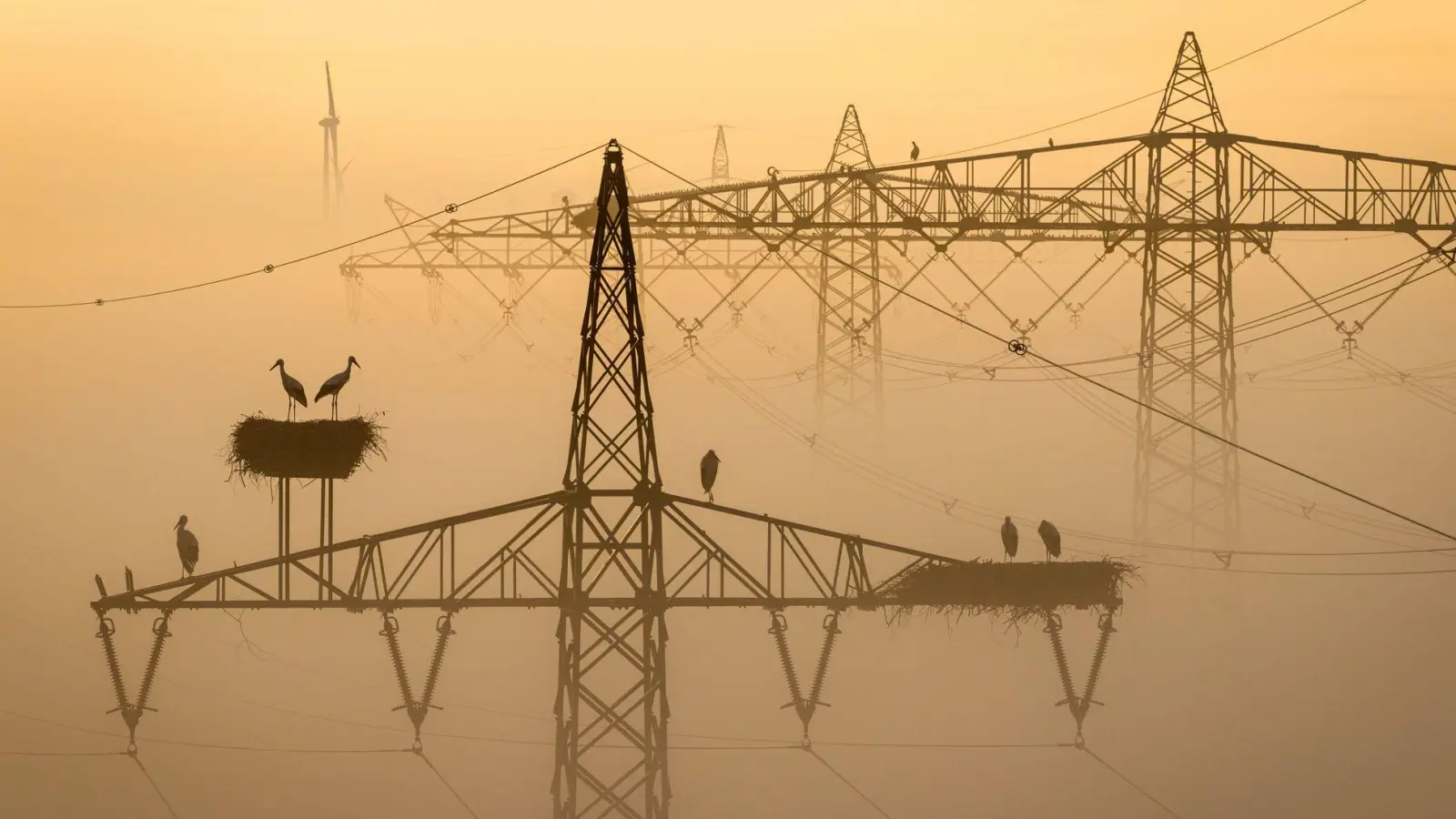 In und um München gab es schon häufiger Anschläge auf Energieanlagen. (Symbolbild) (Foto: Sina Schuldt/dpa)