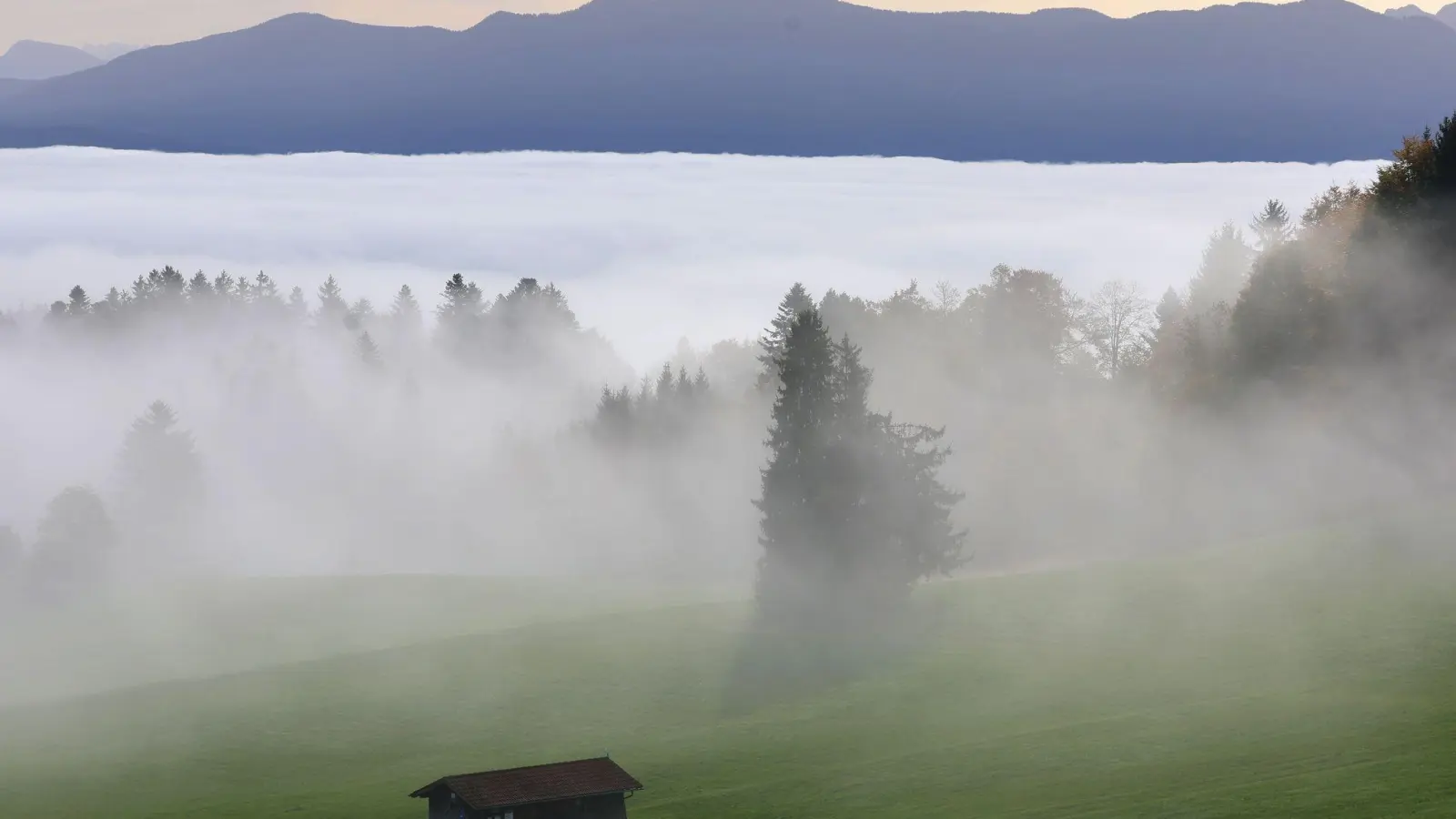 Der Deutsche Wetterdienst prognostiziert Nebel und schlechte Sicht, aber Sonne in den Bergen. (Symbolbild) (Foto: Karl-Josef Hildenbrand/dpa)