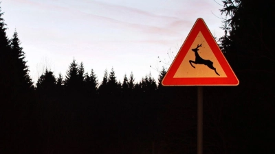 Auf der Staatsstraße 2220 in Richtung Dinkelsbühl ereignete sich am Dienstagmorgen ein schwerer Auffahrunfall nach einem Wildwechsel. Zwei Autos wurden stark beschädigt, die Fahrzeuginsassen blieben unverletzt.  (Symbolbild: Jan Woitas/dpa/dpa-tmn)