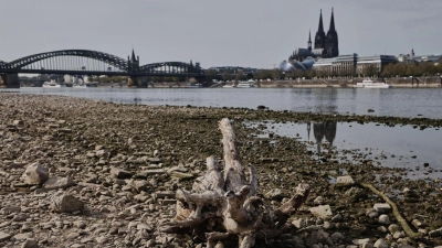 In großen Teilen Europas kam es zu Niedrigwasser - wie hier in Köln. (Foto: Oliver Berg/dpa)