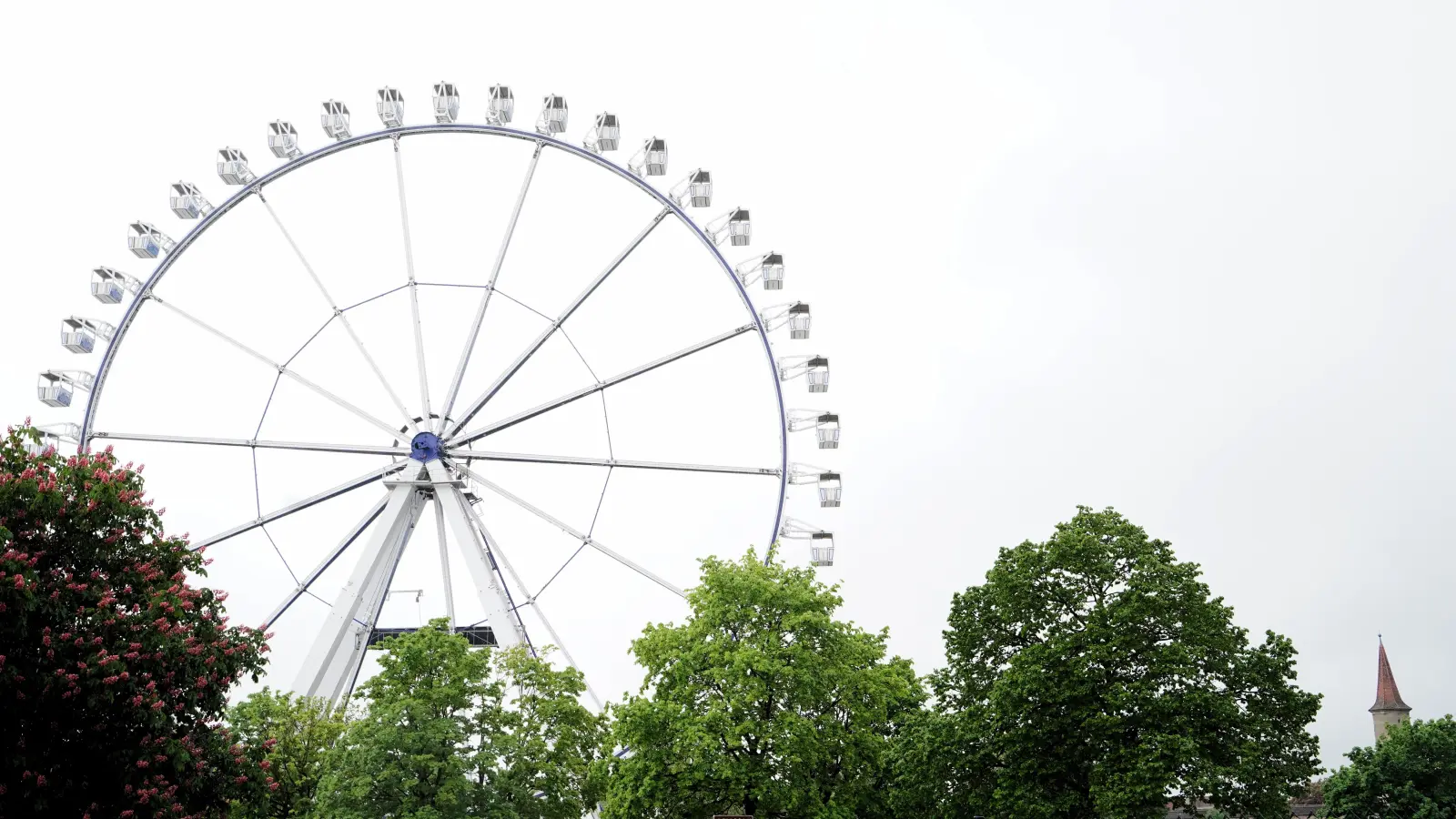 Gleiches Riesenrad, anderer Standort. Ab Freitag dreht sich das 60 Meter hohe Fahrgeschäft auf dem Parkplatz am Friedrich-Hörner-Weg. (Foto: Simone Hedler)