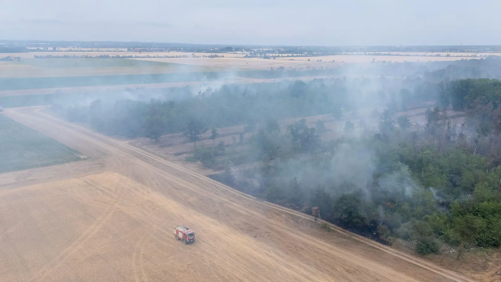 Wegen des Waldbrands in der Gohrischheide wurde Katastrophenalarm ausgelöst. (Foto: Sebastian Kahnert/dpa)