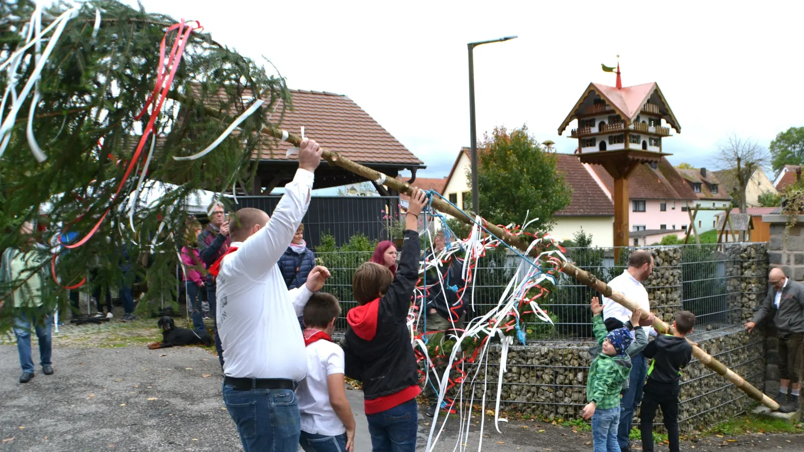 Das Aufstellen des schmucken Kerwa-Baums ist auch heuer ein Höhepunkt der Festtage. (Foto: Klemens Hoppe)