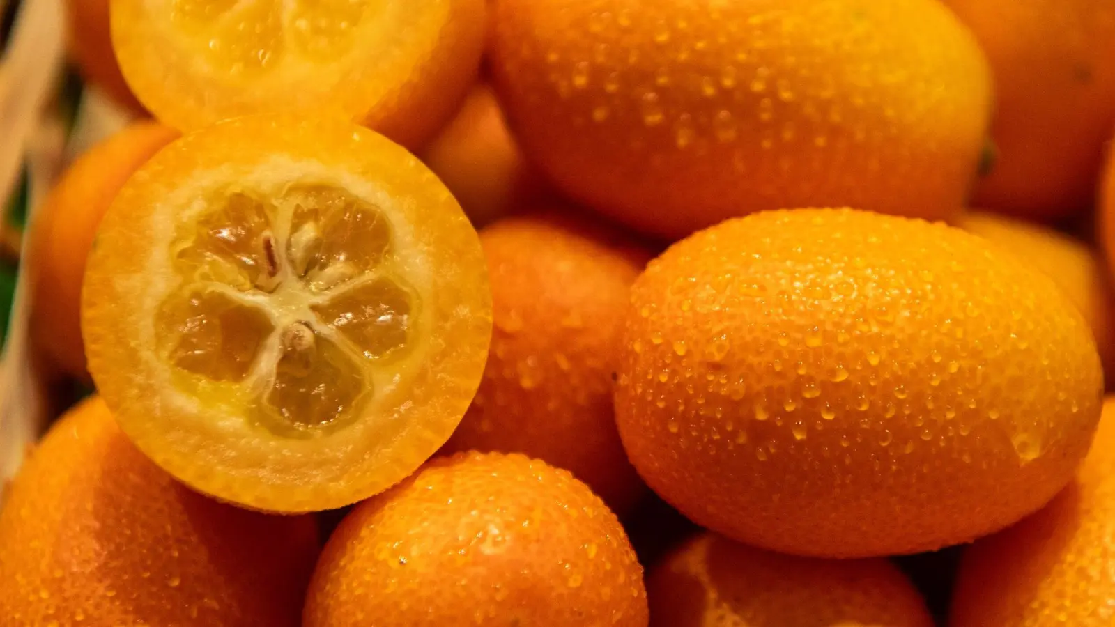 Kleine Frucht, großer Geschmack: Kumquats sind nur pflaumengroß, vereinen in sich aber süße und saure Aromen. (Foto: Zacharie Scheurer/dpa-tmn)