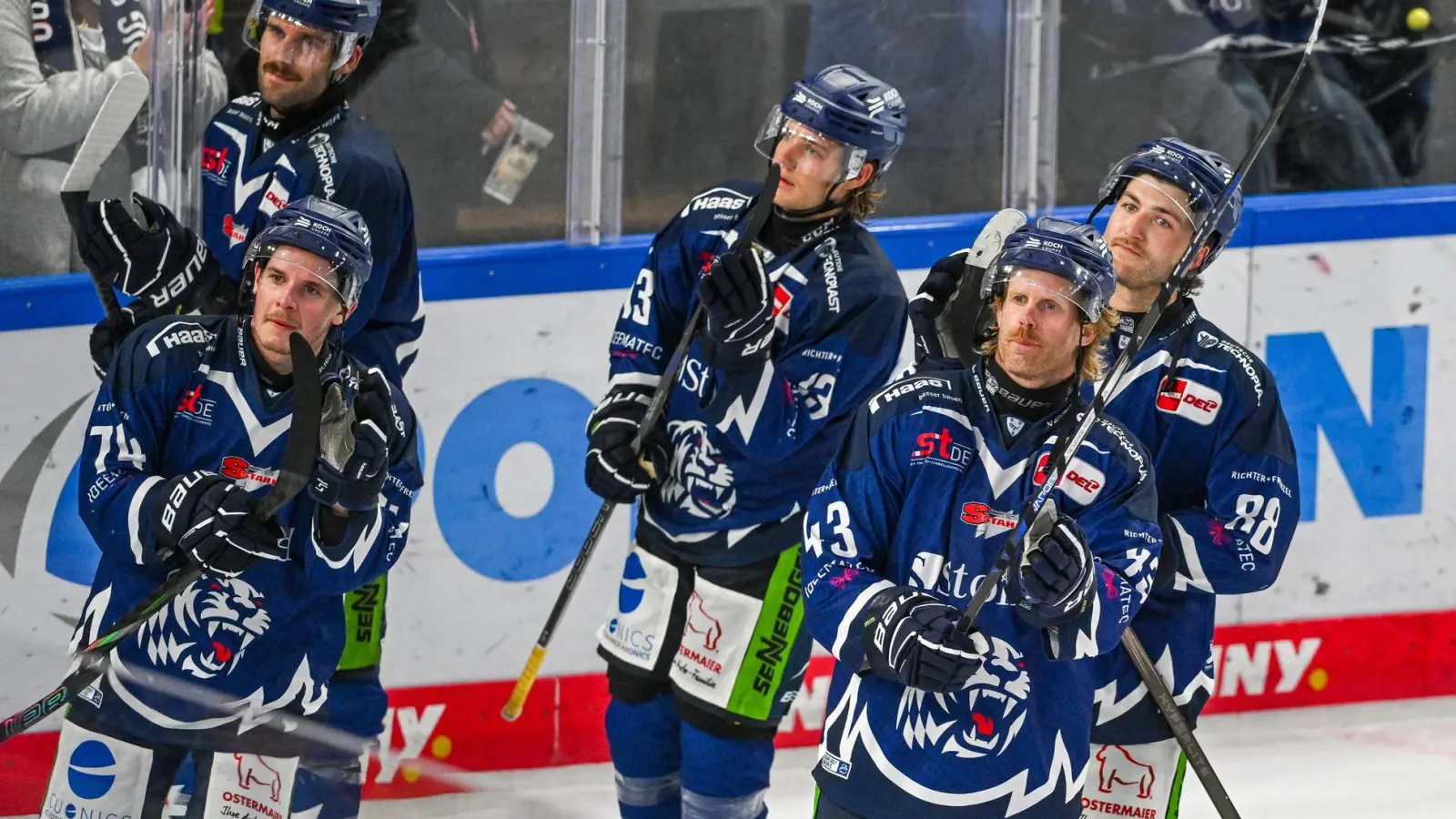 Die Straubing Tigers haben einen neuen Trainer. (Foto: Armin Weigel/dpa)