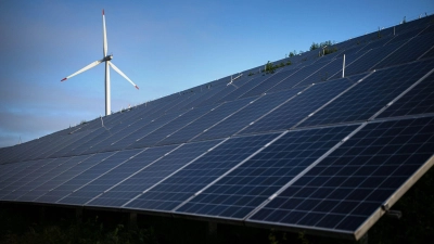 Solarpanels kommen zumeist aus China. (Foto: Sina Schuldt/dpa)