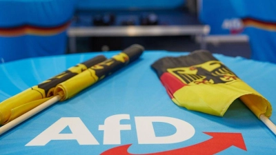 Die AfD hat zwei weitere Klagen gegen die Kündigung des Mietvertrags für die Veranstaltungshalle ihres Bundesparteitages eingereicht. (Foto: Jörg Carstensen/dpa)