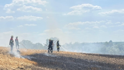 Durch die Hitze und die Trockenheit können aktuell leicht Flächenbrände entstehen. (Symbolbild: Kreisfeuerwehrverband NEA)