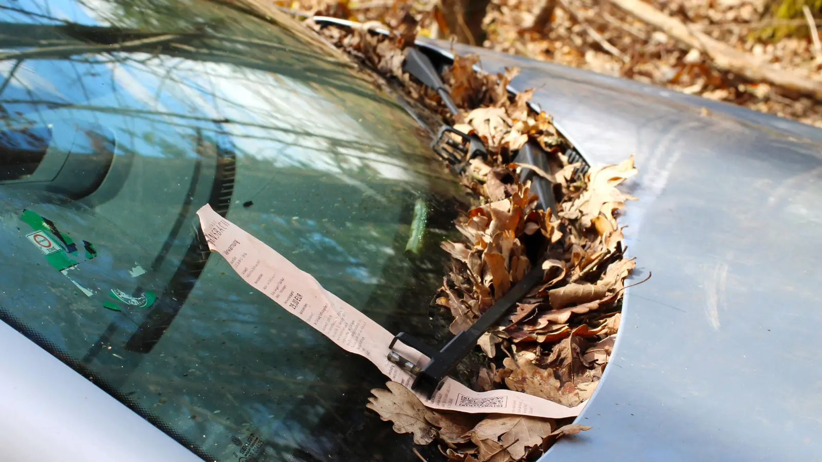 Ohne die geklauten Wischblätter hält der Scheibenwischer den Strafzettel auf der Windschutzscheibe fest. (Foto: Constantin Prosch)