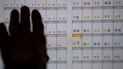 Das Ergebnis einer DNA-Sequenzanalyse im Labor des Bayerischen Landeskriminalamts (LKA). Bayern und Baden-Württemberg fordern eine Ausweitung der DNA-Analyse bei der Fahndung nach Straftätern. (Symbolbild) (Foto: Sven Hoppe/dpa)