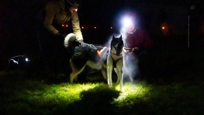 Am ersten Tag des 28. Internationalen Schlittenhundewagenrennens off Snow findet ein Nachtlauf statt. (Foto: Evi Lemberger)