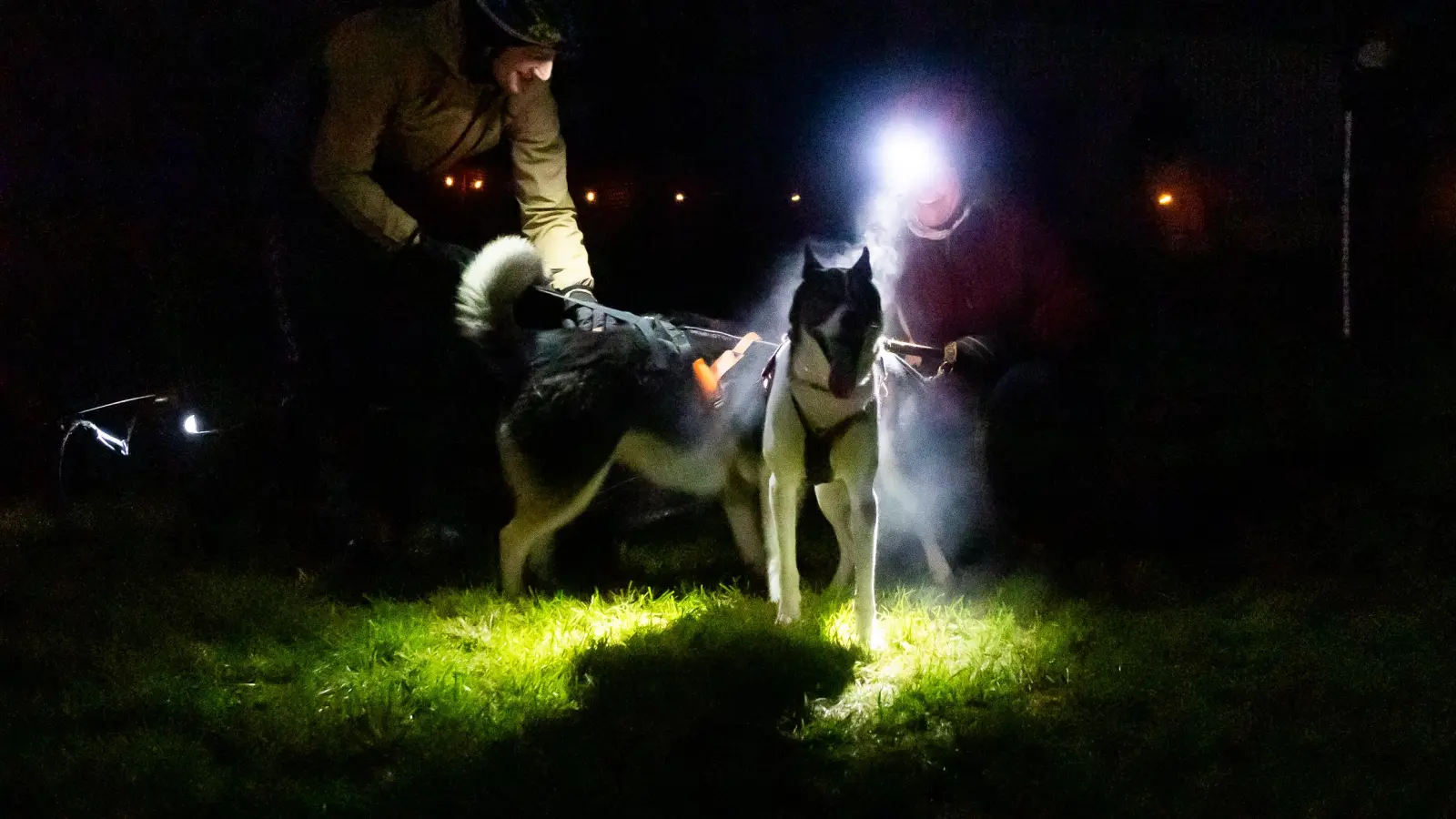 Am ersten Tag des 28. Internationalen Schlittenhundewagenrennens off Snow findet ein Nachtlauf statt. (Foto: Evi Lemberger)