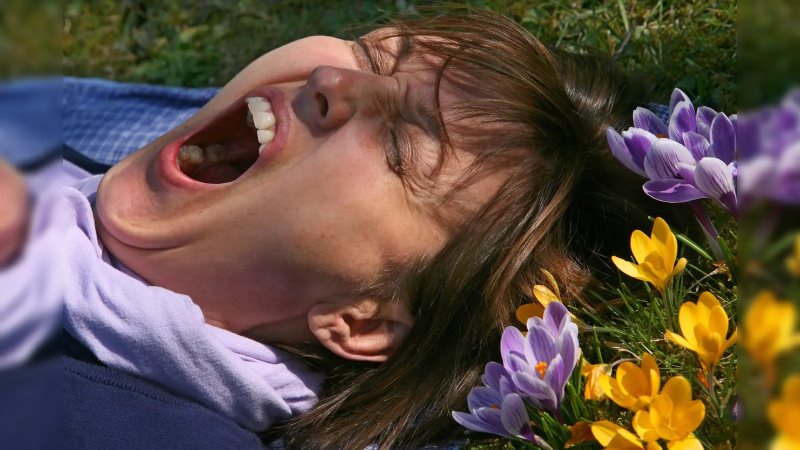 Eine Frau liegt auf einer mit Krokussen bewachsenen Wiese und gähnt. (Archivbild) (Foto: picture alliance / Karl-Josef Hildenbrand/dpa)