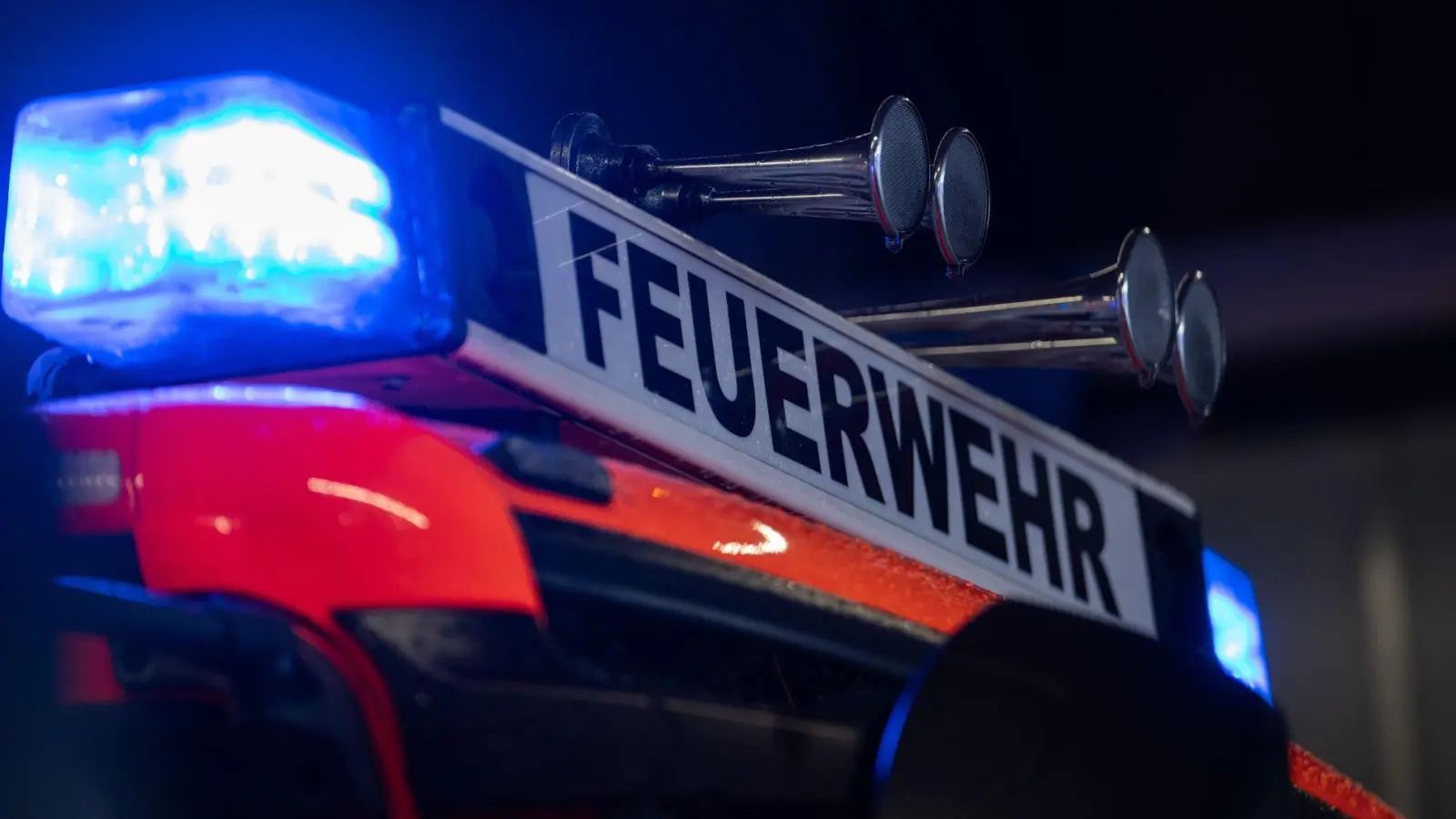 Obwohl die Einsatzkräfte der Feuerwehr sofort mit den Löscharbeiten begannen, griffen die Flammen auf drei weitere Fahrzeuge über. (Symbolbild) (Foto: Marijan Murat/dpa)