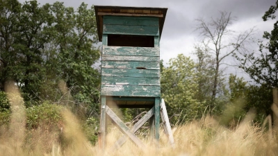 Der Streit um eine Reform des Bayerischen Jagdgesetzes geht weiter. (Symbolbild) (Foto: Tim Würz/dpa)