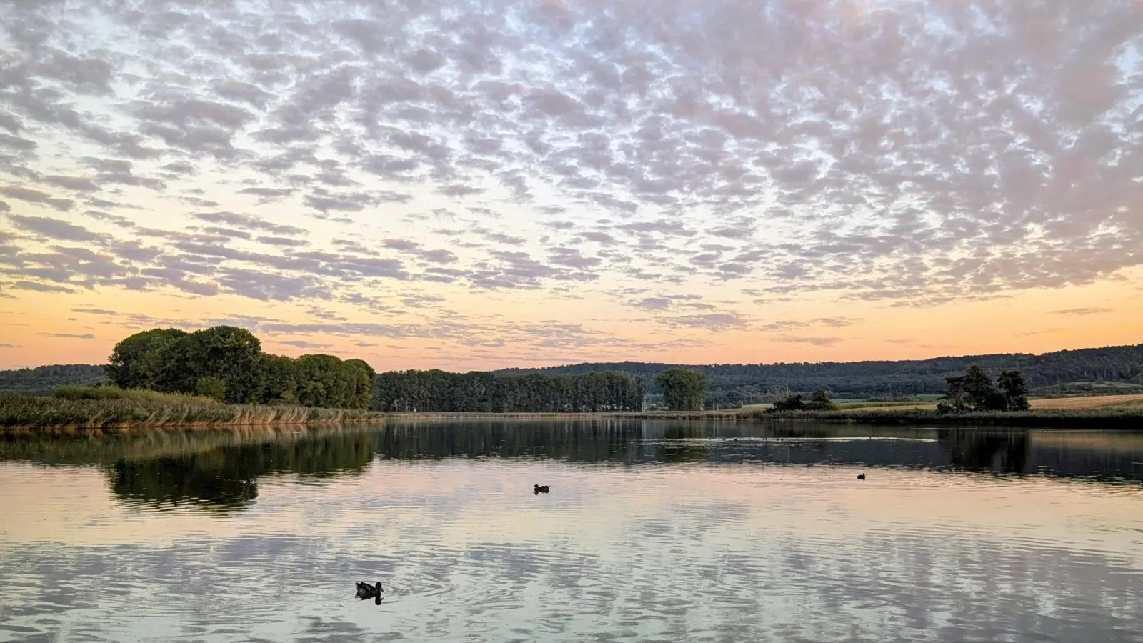 Beschauliche Abendstimmung – gesehen am Lindleinsee (Foto: Werner Schmidt)