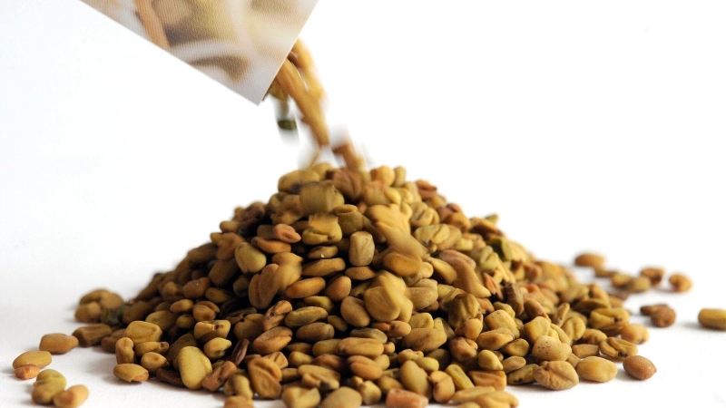 Traditionelle Verwendung: Neben der Küche spielt Bockshornklee auch in der Medizin eine Rolle und wird seit Jahrhunderten als Heilpflanze geschätzt. (Foto: Holger Hollemann/dpa/dpa-tmn)