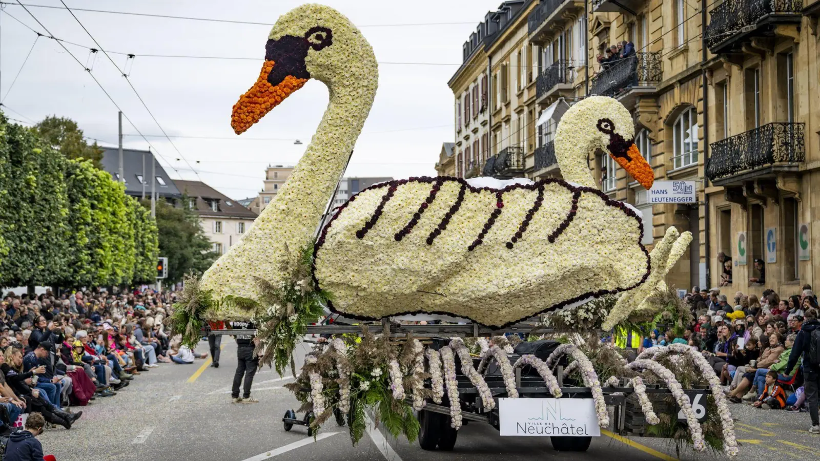 Mein lieber Schwan! Ein Blumenwagen fährt während des „Grand Corso fleuri“, der Hauptattraktion beim Weinlesefest, durch die Innenstadt von Neuchatel in der Schweiz. (Foto: Jean-Christophe Bott/KEYSTONE/dpa)