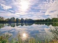 Ein ruhiges, sonniges Plätzchen - gesehen bei Wörnitz (Foto: Doris Schmieg)