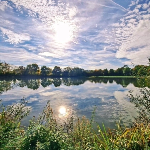 Ein ruhiges, sonniges Plätzchen - gesehen bei Wörnitz (Foto: Doris Schmieg)