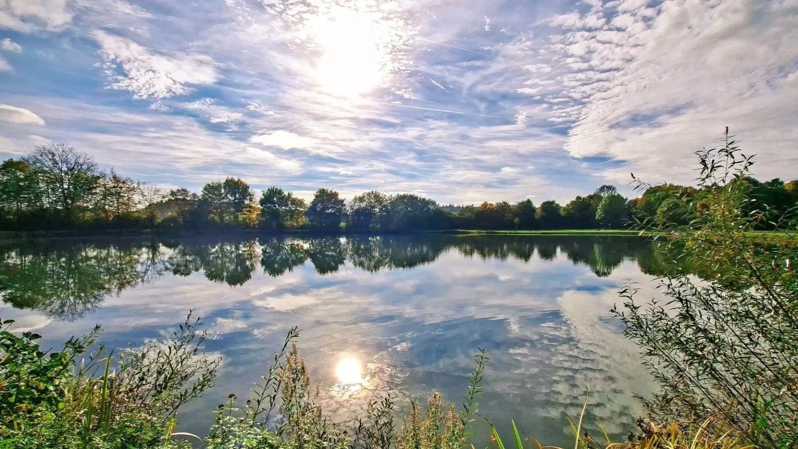 Ein ruhiges, sonniges Plätzchen - gesehen bei Wörnitz (Foto: Doris Schmieg)