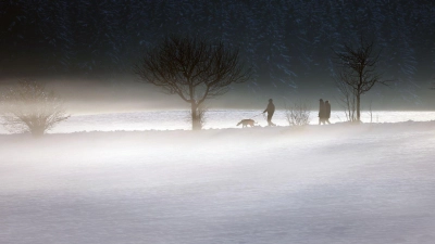 Nebel und Glätte prägen am Wochenende das Wetter in Bayern. (Foto: Karl-Josef Hildenbrand/dpa)