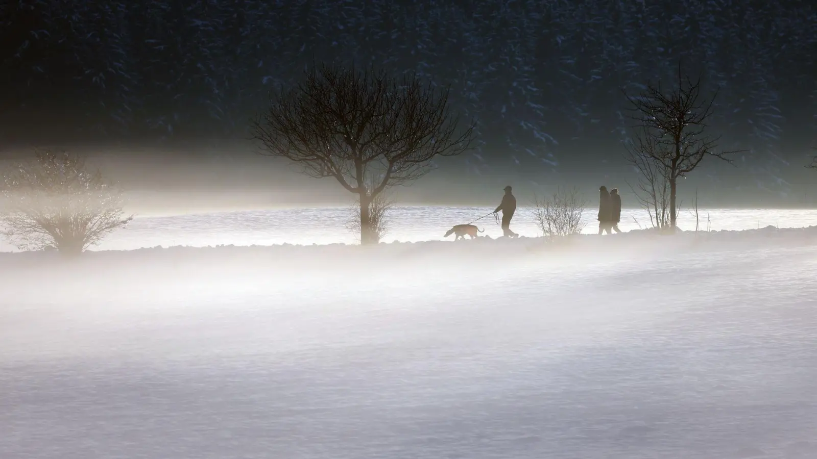 Nebel und Glätte prägen am Wochenende das Wetter in Bayern. (Foto: Karl-Josef Hildenbrand/dpa)