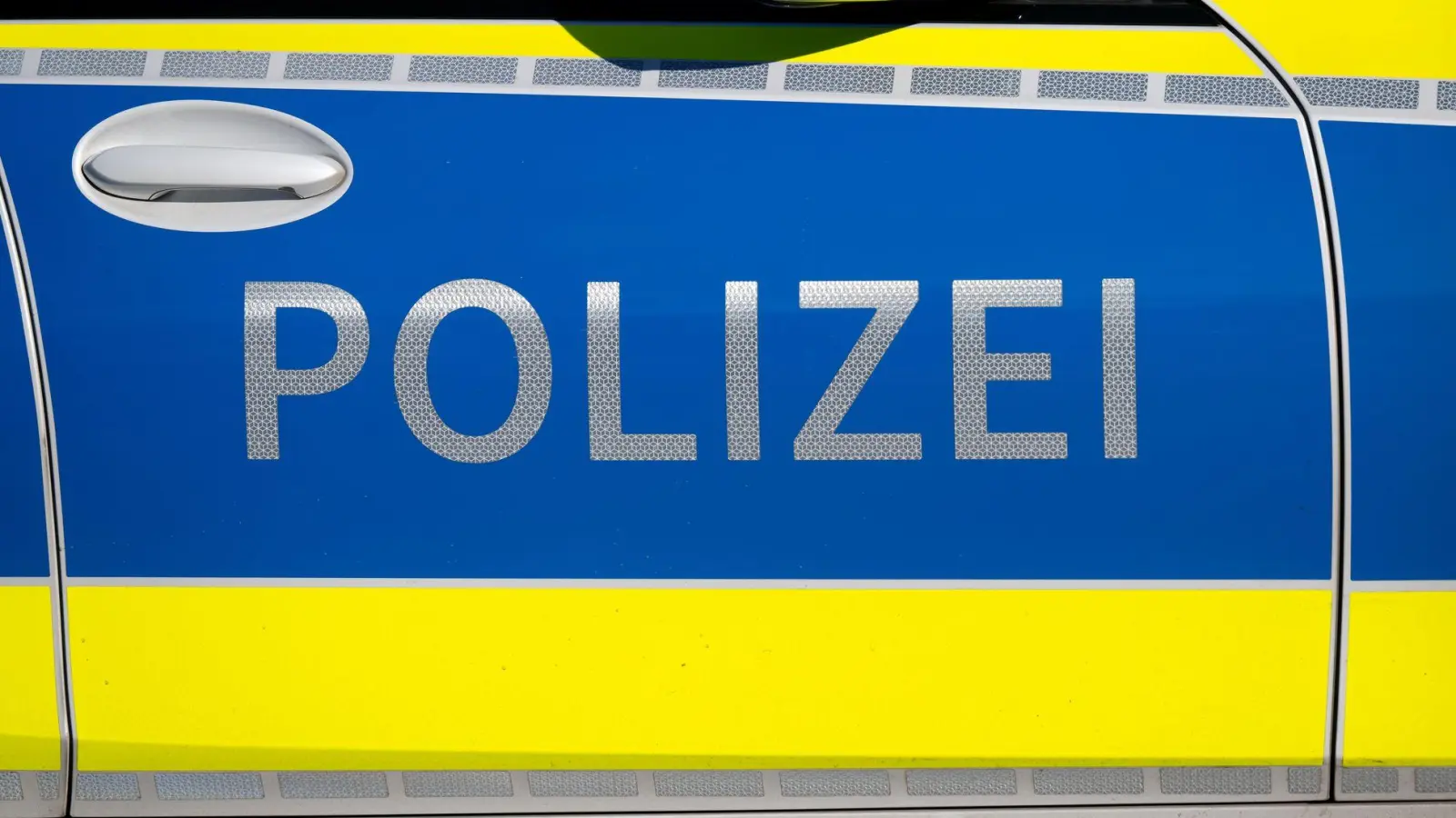 Polizeiangaben zufolge waren bei dem Vorfall mehr als 30 Polizeikräfte im Einsatz. (Symbolbild) (Foto: Sven Hoppe/dpa)