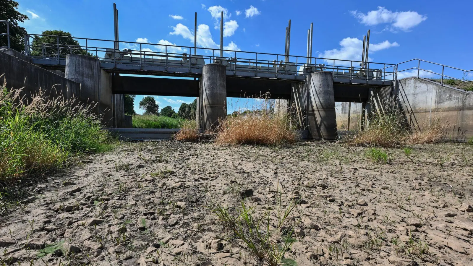 Die Wasserreserven in Deutschland werden geringer. (Archivbild) (Foto: Patrick Pleul/dpa)