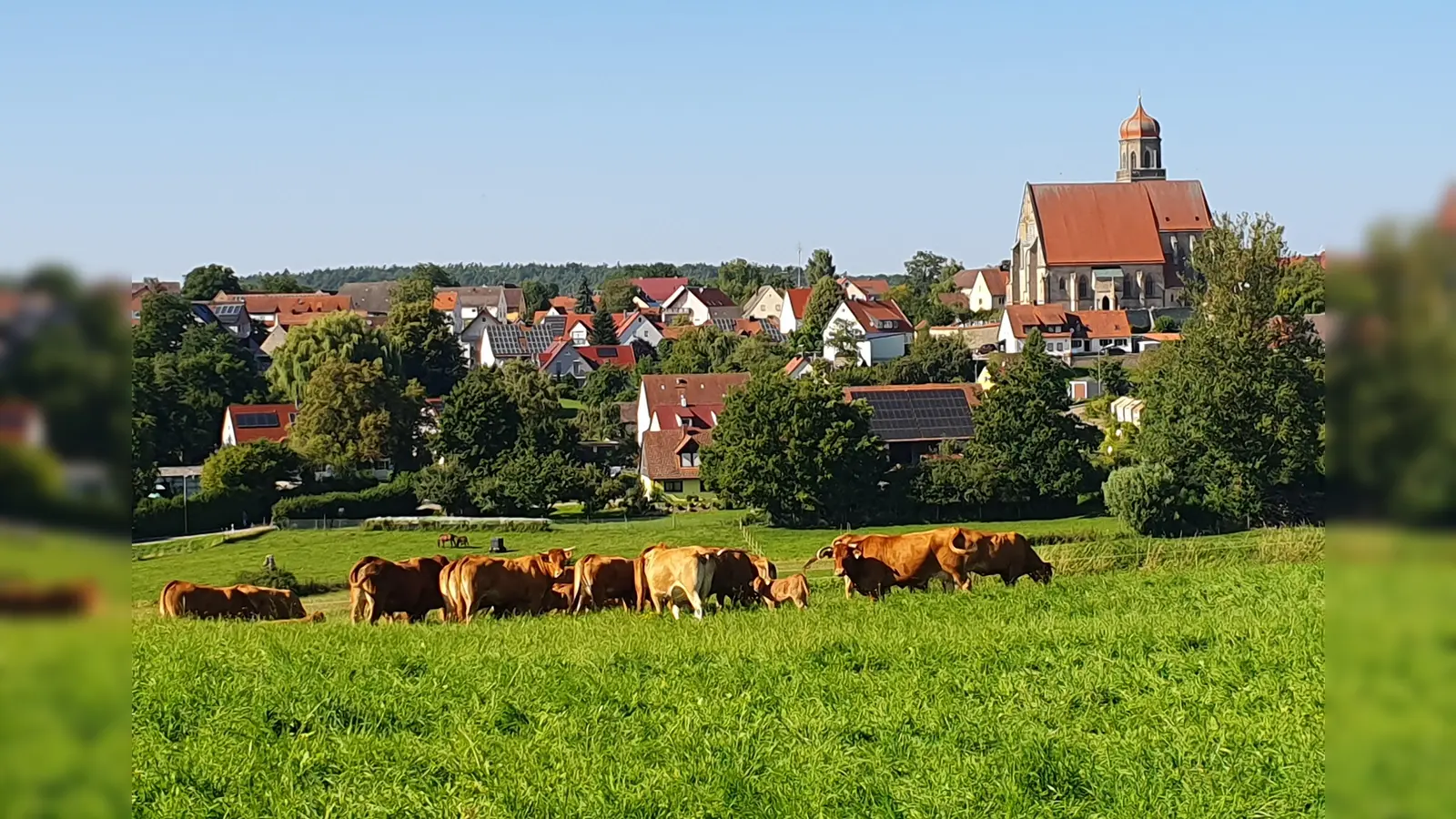 Leserfoto: Ländliche Idylle (Foto: Jürgen Hahn)