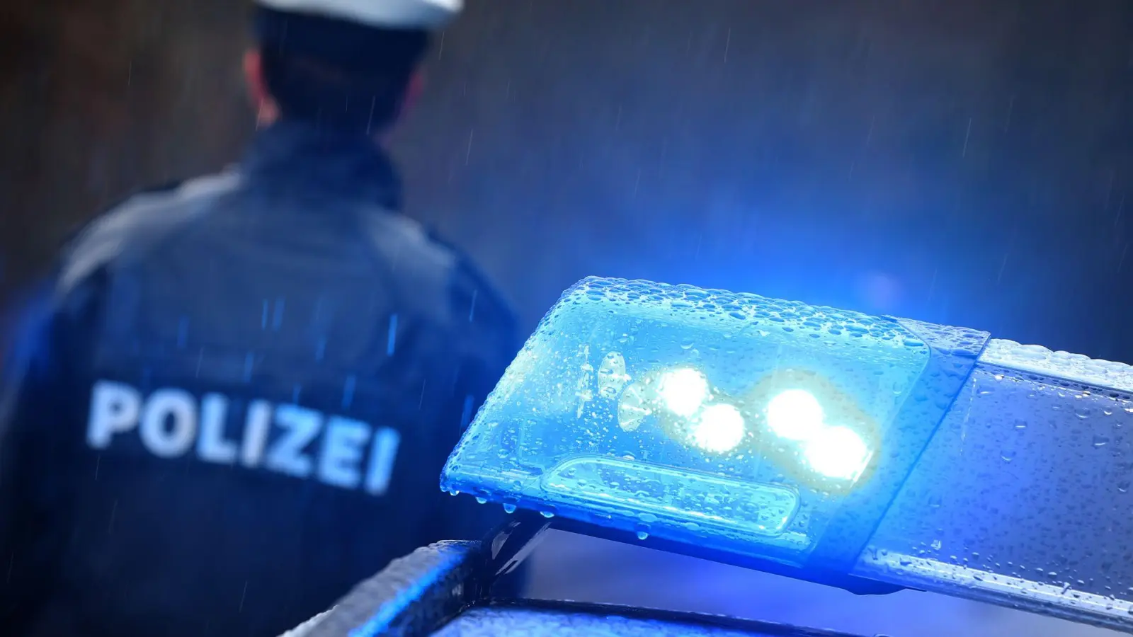 Die Forscher untersuchten 292 Fälle, die in die Polizeiliche Kriminalstatistik (PKS) eingegangen sind. (Symbolbild) (Foto: Karl-Josef Hildenbrand/dpa)