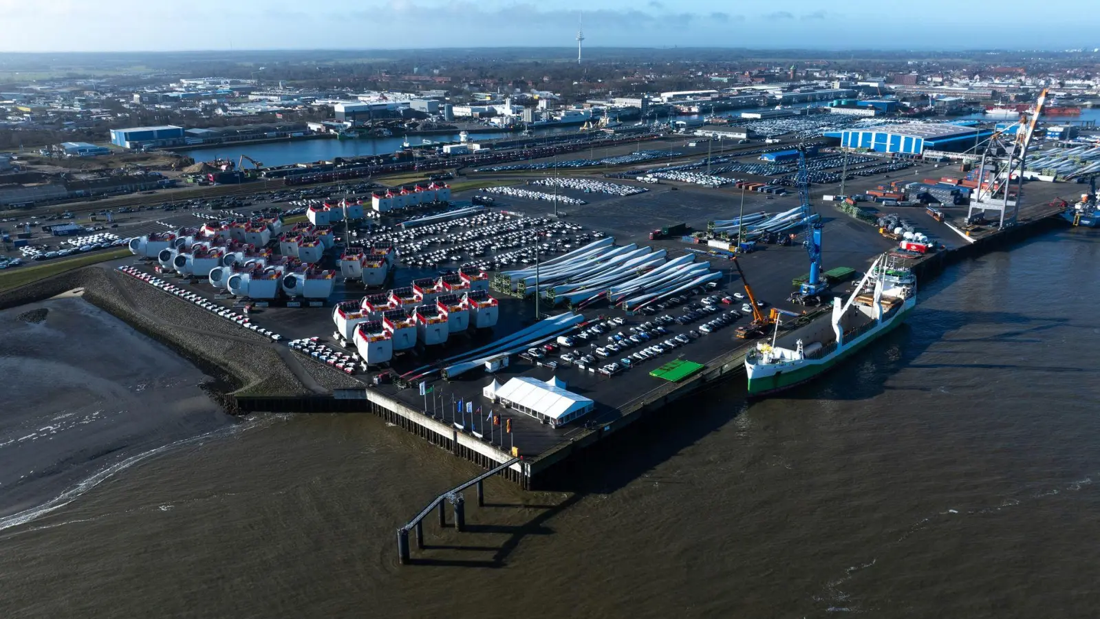 Im Hafen von Cuxhaven wurde ein toter Zwergwal entdeckt. (Symbolfoto) (Foto: Philipp Schulze/dpa)