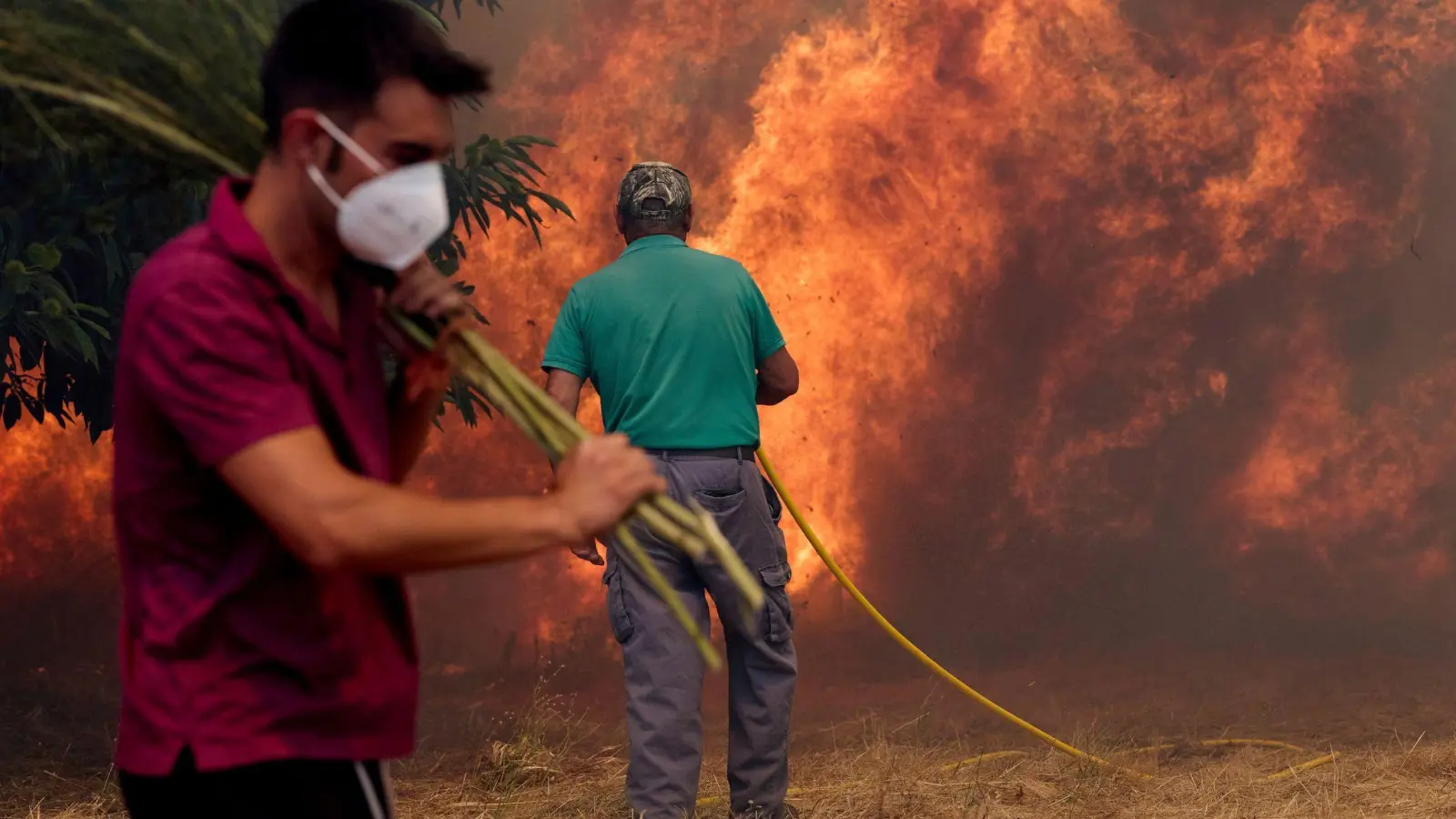 Es sind die schlimmsten Waldbrände seit Jahrzehnten in Spanien. (Foto: Pablo Garcia/AP/dpa)