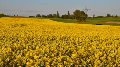 Die Landwirtschaft prägt die Kulturlandschaft in Westmittelfranken. Der Landkreis Ansbach unterstützt die in diesem Bereich auf Kreisebene aktiven Organisationen weiterhin. (Archivfoto: Fritz Arnold)