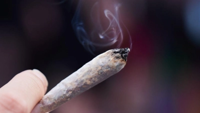 Kiffen ist ab 1. April für Erwachsene nicht mehr illegal. Cannabis wurde von der Liste der verbotenen Substanzen gestrichen. (Foto: Annette Riedl/dpa)