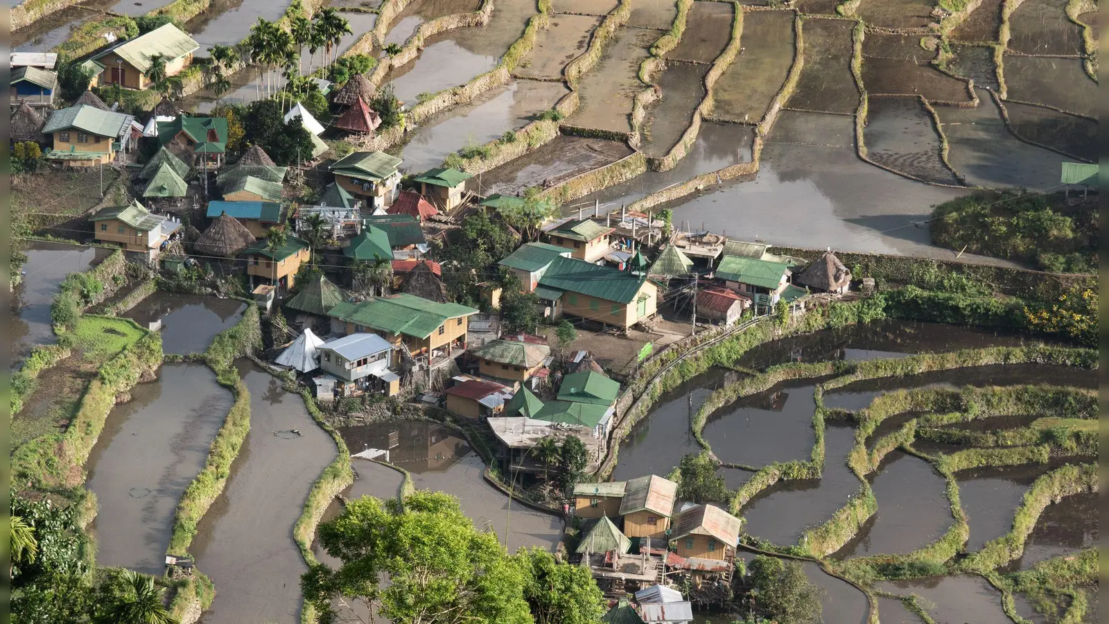 „Eine Landschaft von großer Schönheit, die die Harmonie zwischen Mensch und Umwelt ausdrückt.“ So sieht es die Unesco, zu deren Weltkulturerbe die Reisbauterrassen von Ifugao zählen. (Foto: Andreas Drouve/dpa-tmn)