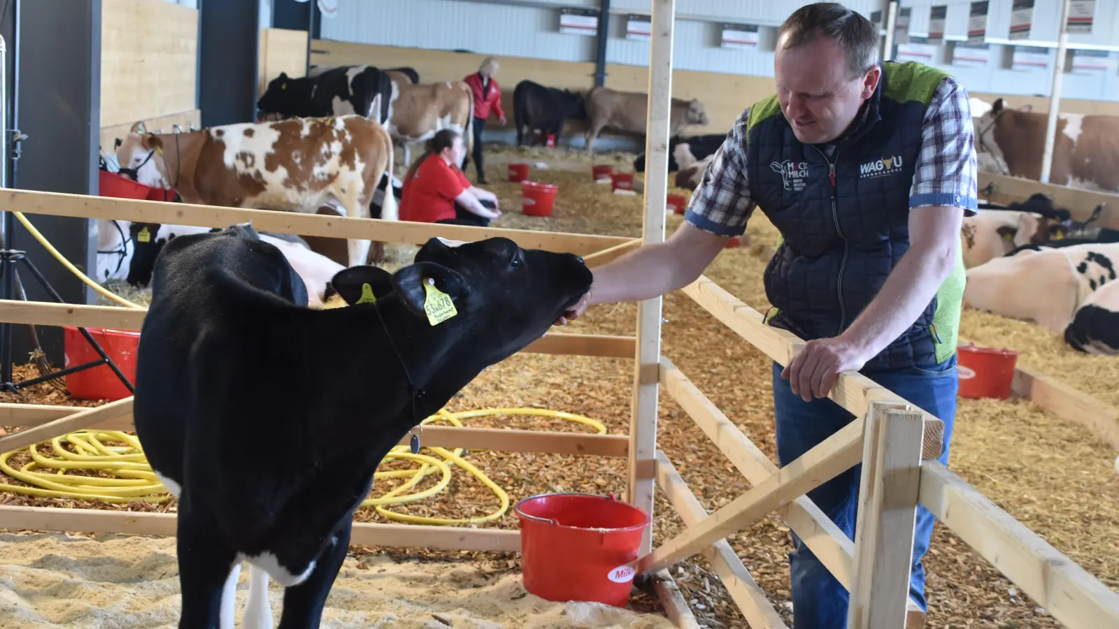 Armin Nürnberger mit dem teuersten Tier, das für 80.000 Euro an einen Landwirt in Nordrhein-Westfalen ging.  (Foto: Fritz Arnold)