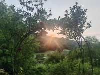 Sonnenbogen, ein Sonnenuntergang über dem Taubertal – gesehen in Bettwar. (Foto: Gerhard Sättler)
