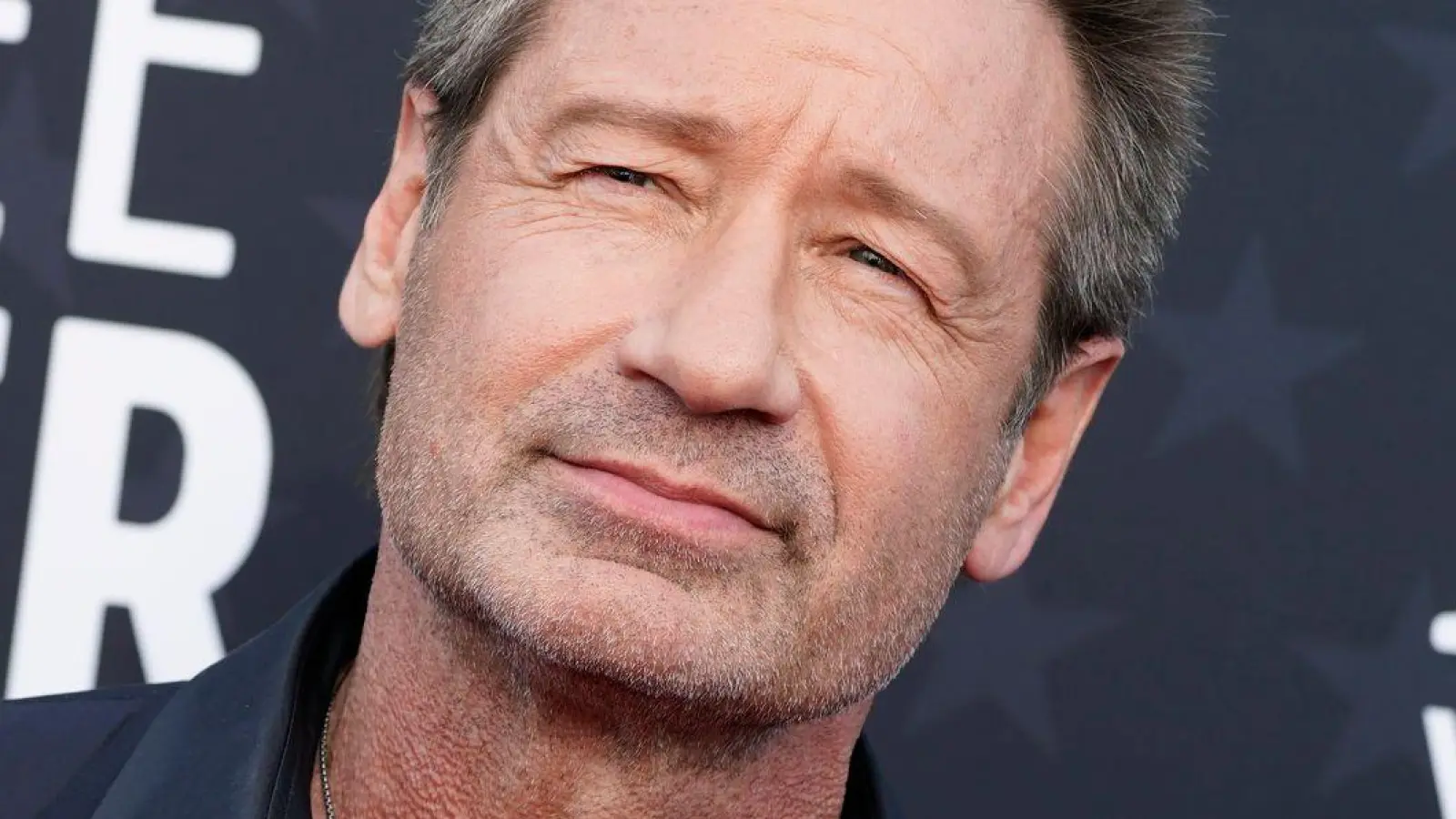 Kommt nach München: „Akte X“-Star David Duchovny. (Archivbild) (Foto: Jordan Strauss/Invision/AP/dpa)