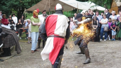 Da fliegen die Funken: Spektakuläre Kämpfe und aufwendige Gewänder gehören zum Mittelaltermarkt, der am kommenden Wochenende in Dinkelsbühl über die Bühne geht. Unser Foto entstand bei der Veranstaltung im vergangenen Jahr. (Foto: Alexander Schäffer)