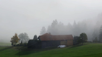Am Wochenende ist mit viel Nebel im Freistaat zu rechnen. (Symbolbild) (Foto: Karl-Josef Hildenbrand/dpa)
