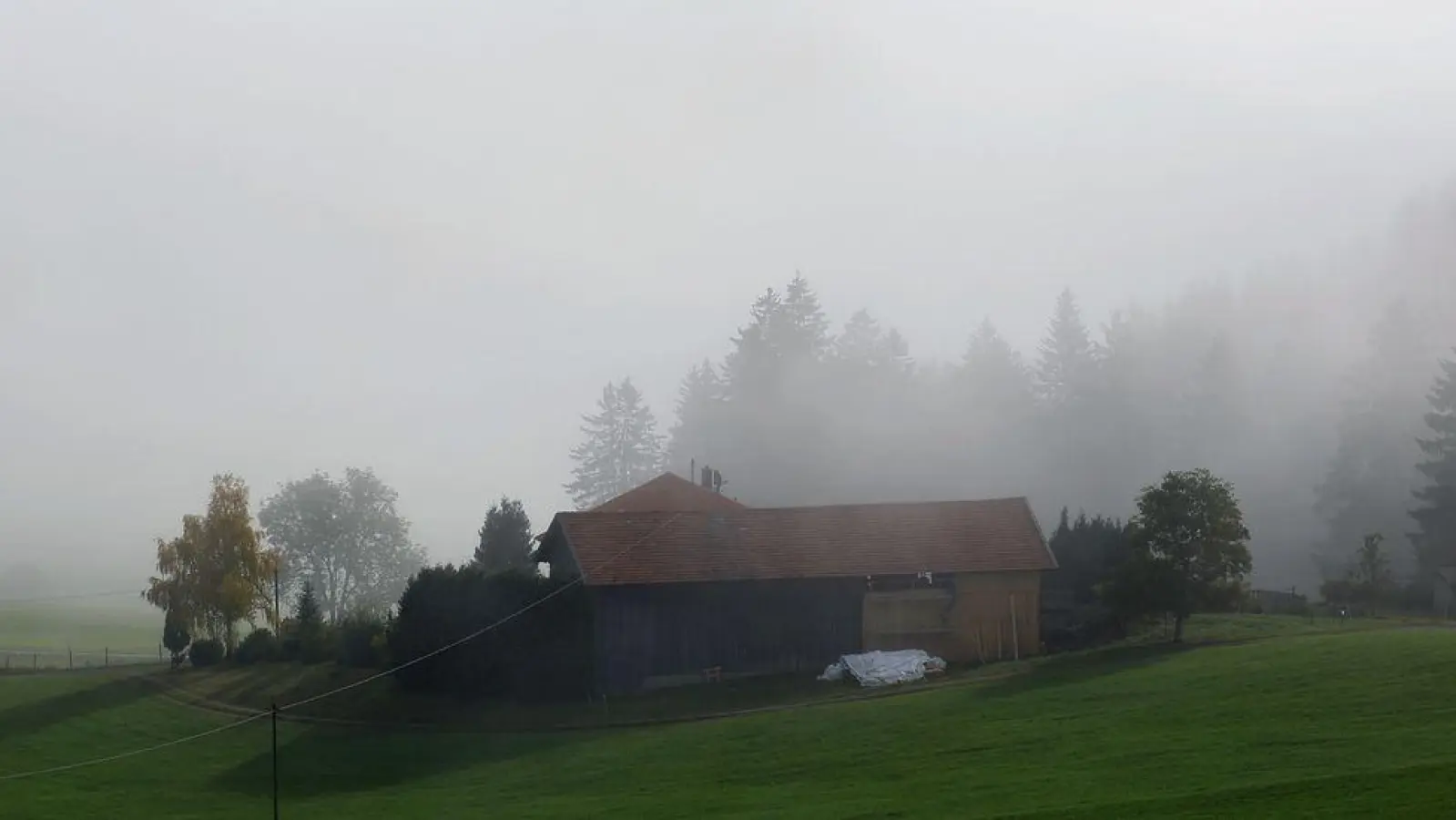 Am Wochenende ist mit viel Nebel im Freistaat zu rechnen. (Symbolbild) (Foto: Karl-Josef Hildenbrand/dpa)