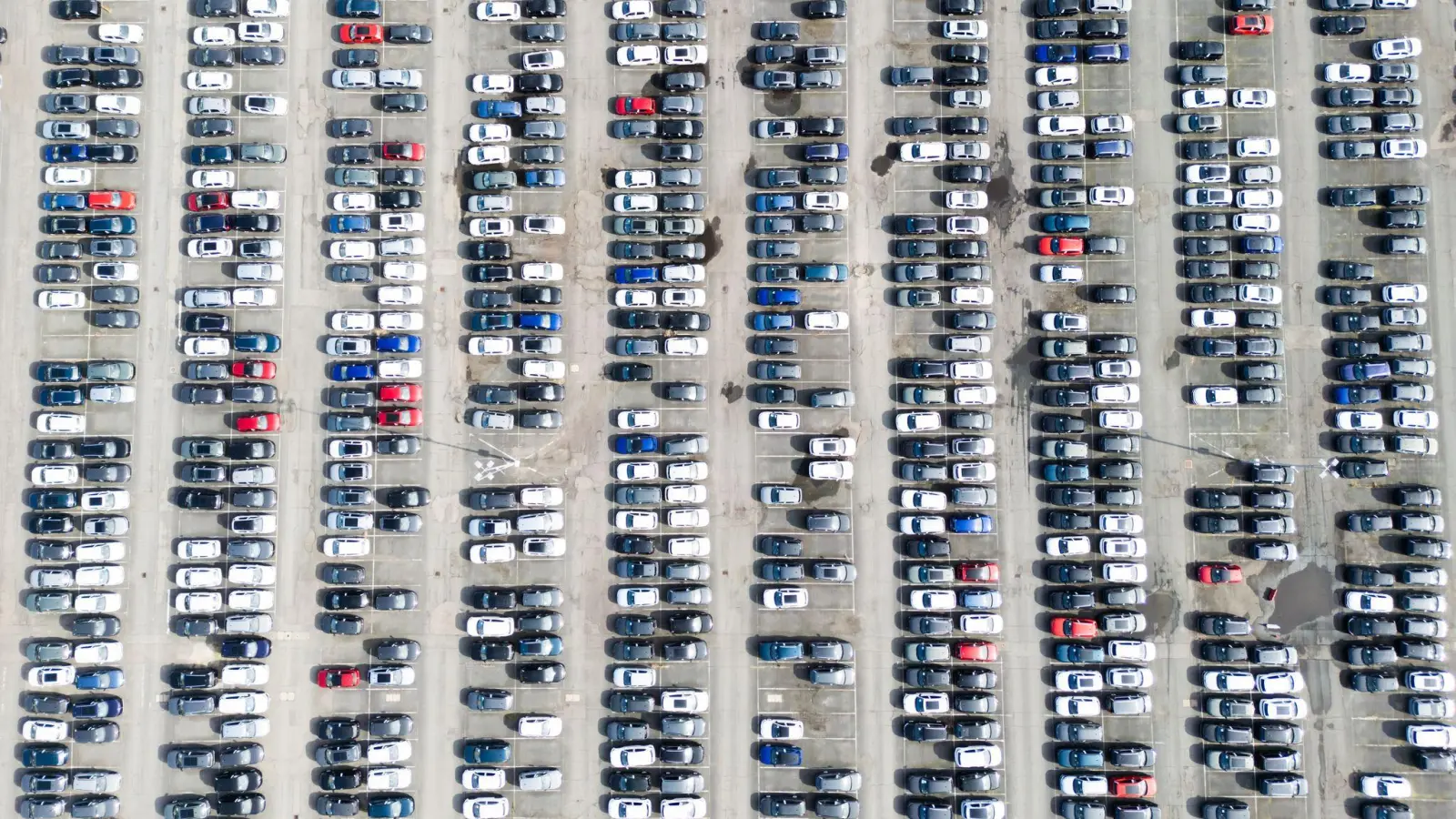 Die Produktion in der deutschen Wirtschaft ist gewachsen - auch in der Autobranche (Archivbild) (Foto: Julian Stratenschulte/dpa)